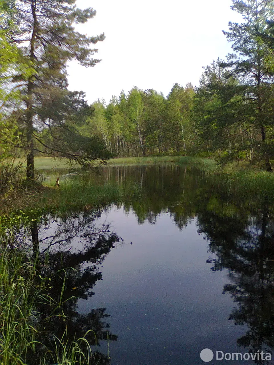 Аренда коттеджа на сутки в Бузунах ул. Луговая , 200BYN, код 1410 - фото 14