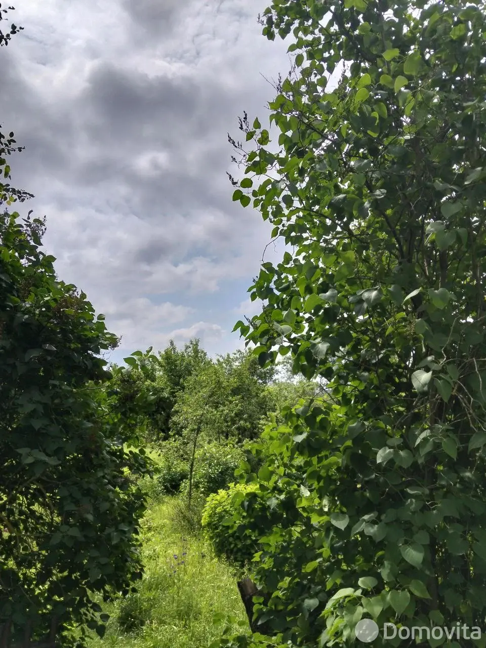 участок, Ольгово, ул. Южная, д. 5