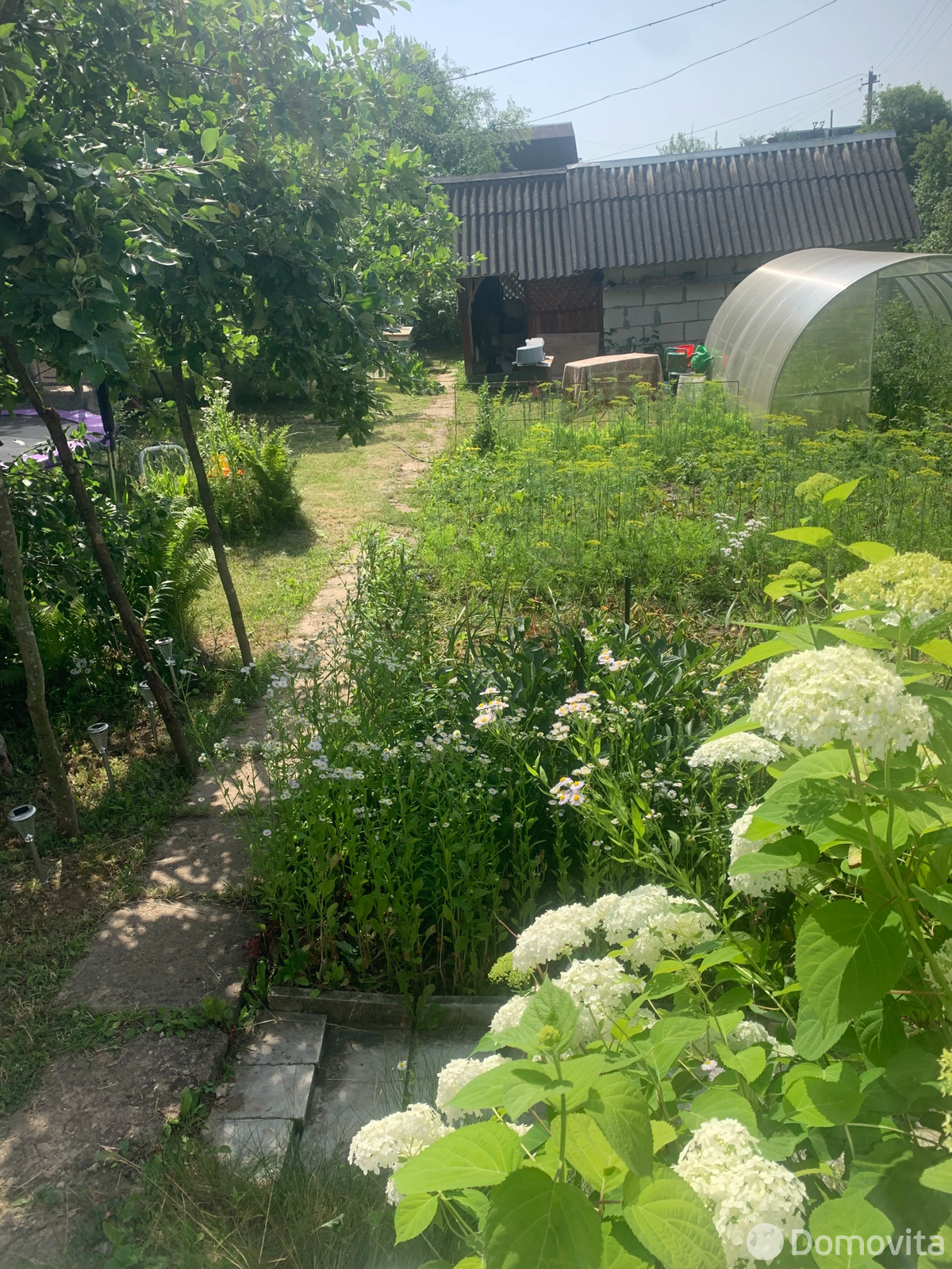 дача, Олехновичский сельсовет, , стоимость продажи 53 811 р.