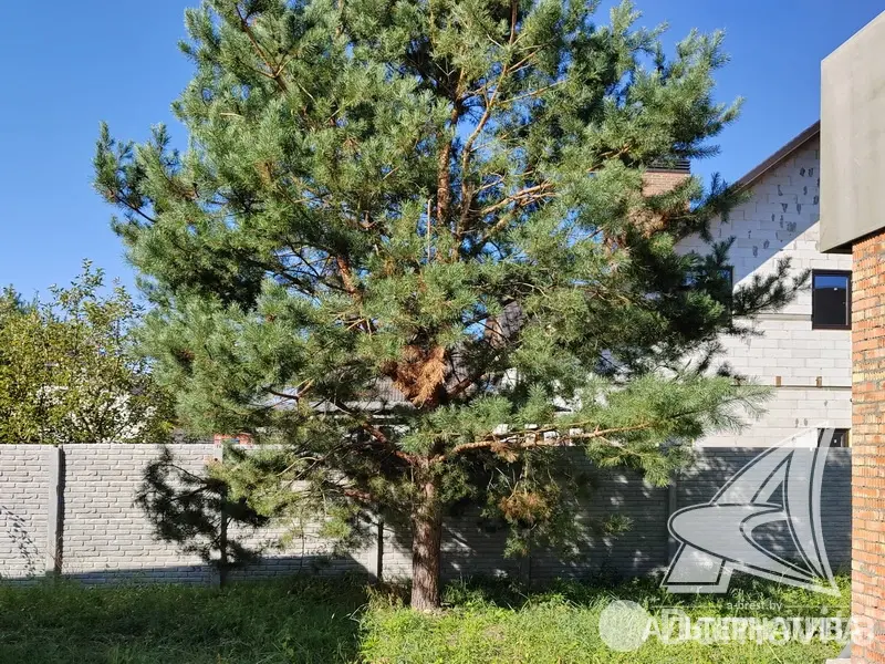 Продажа 2-этажной дачи в Березовая роща 395 Брестская область, 142000USD, код 168457 - фото 13