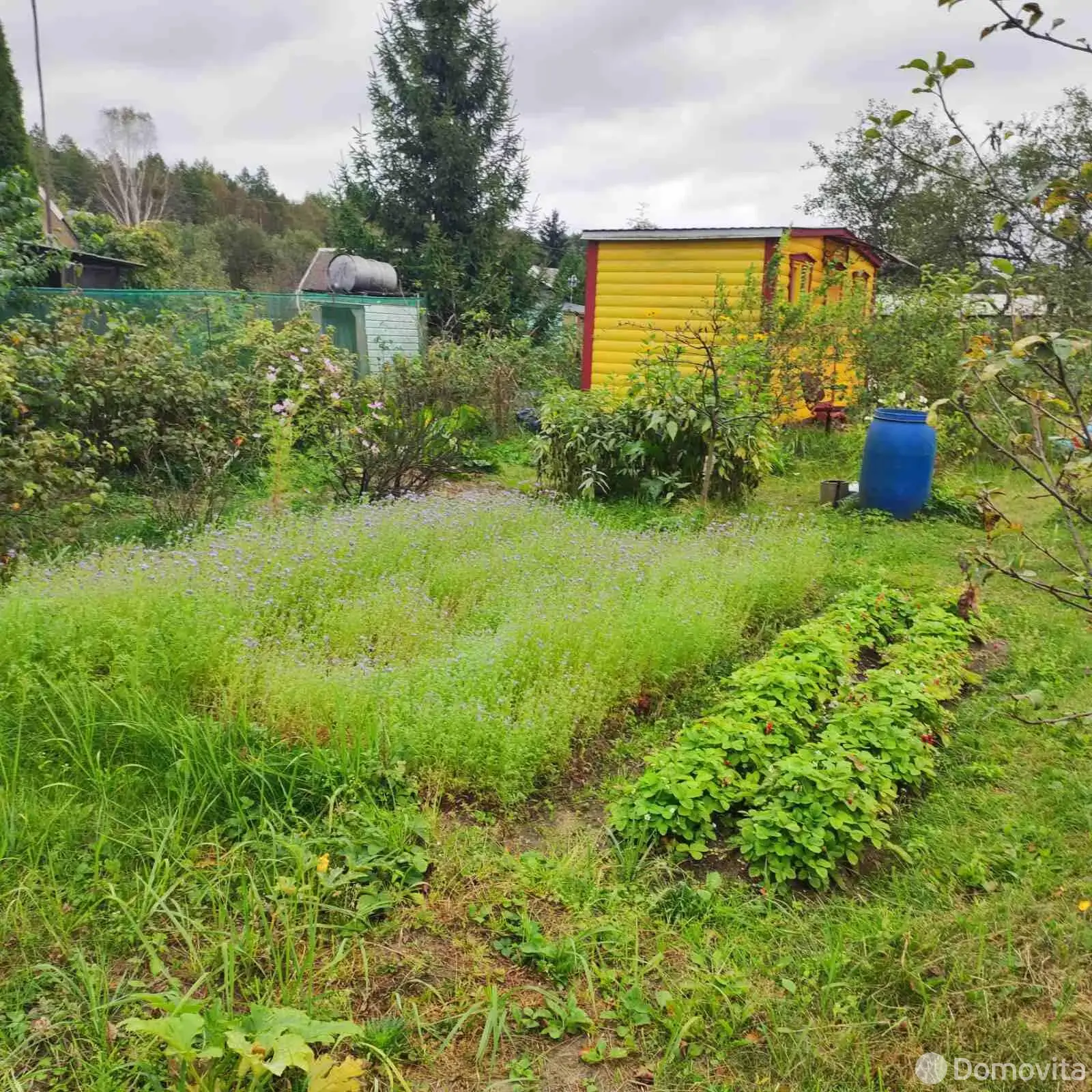 Продажа 2-этажной дачи в Электрик-17 Минская область, 18000USD, код 184231 - фото 16