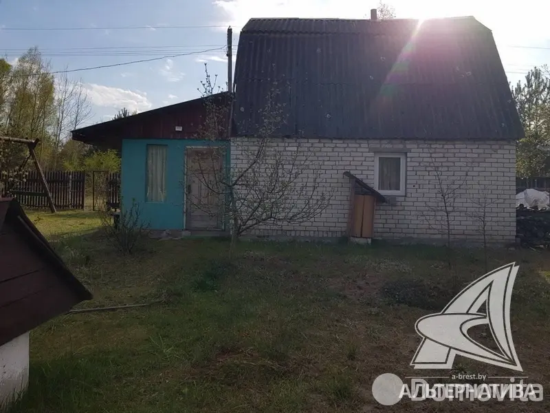 дача, Брест, - лучшее предложение