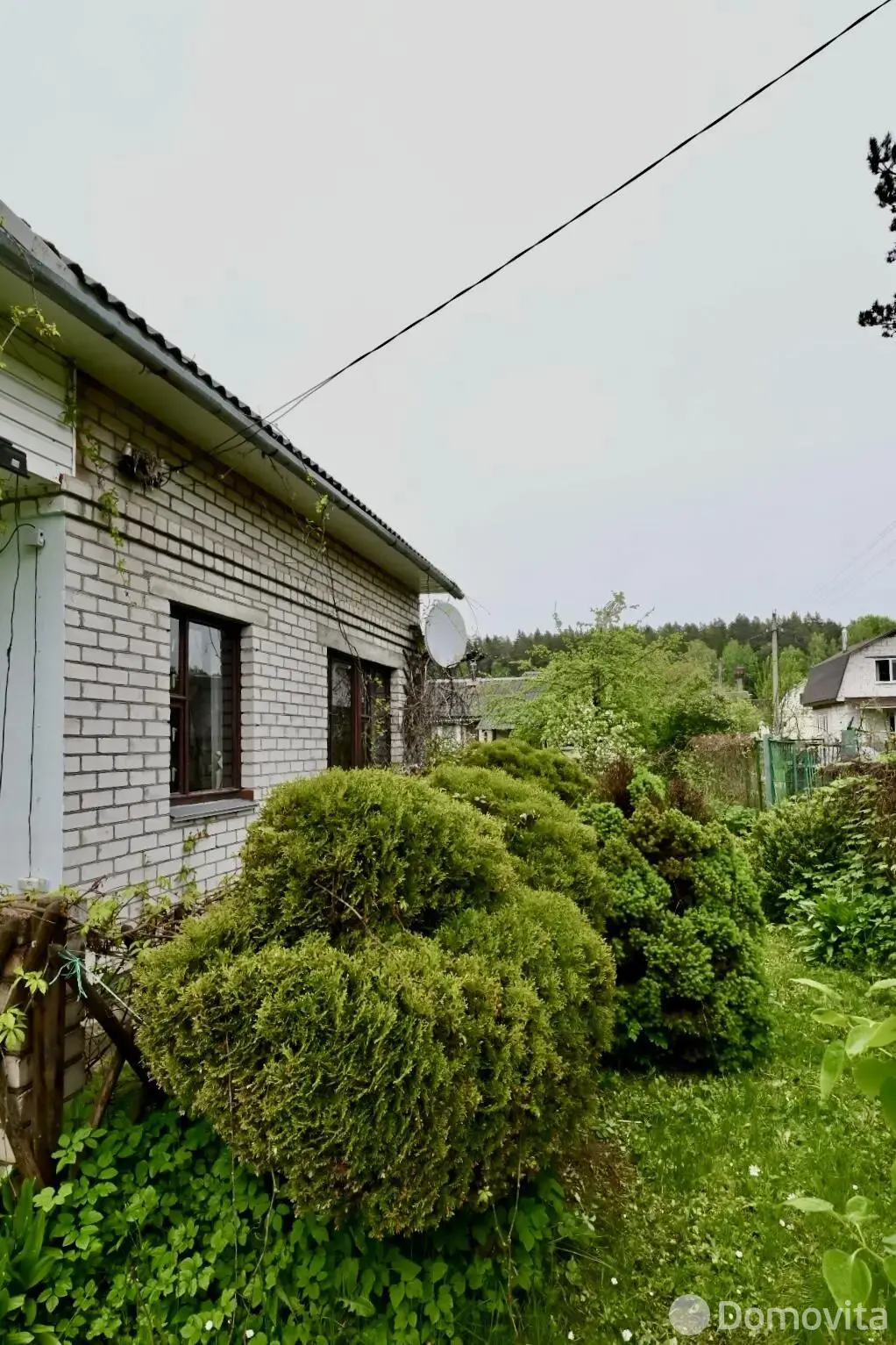 дача, Микробиолог, 