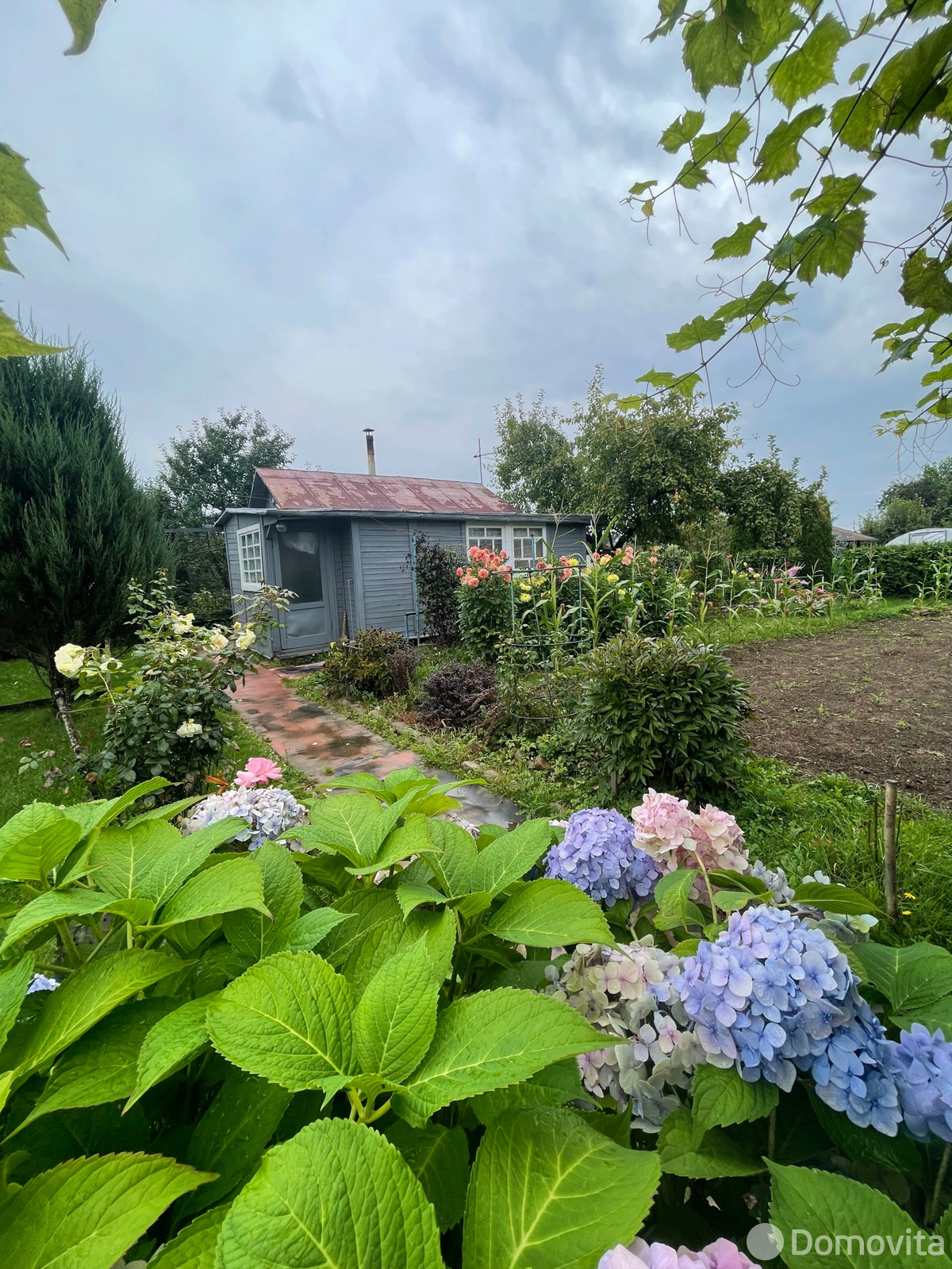 дача, Колосок, 