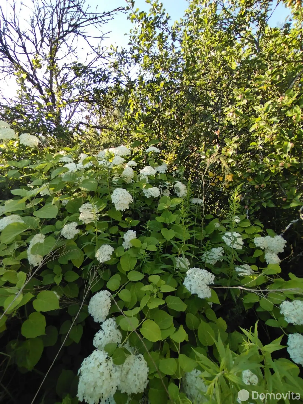 купить участок, Городняны, пер. Горный, д. 7