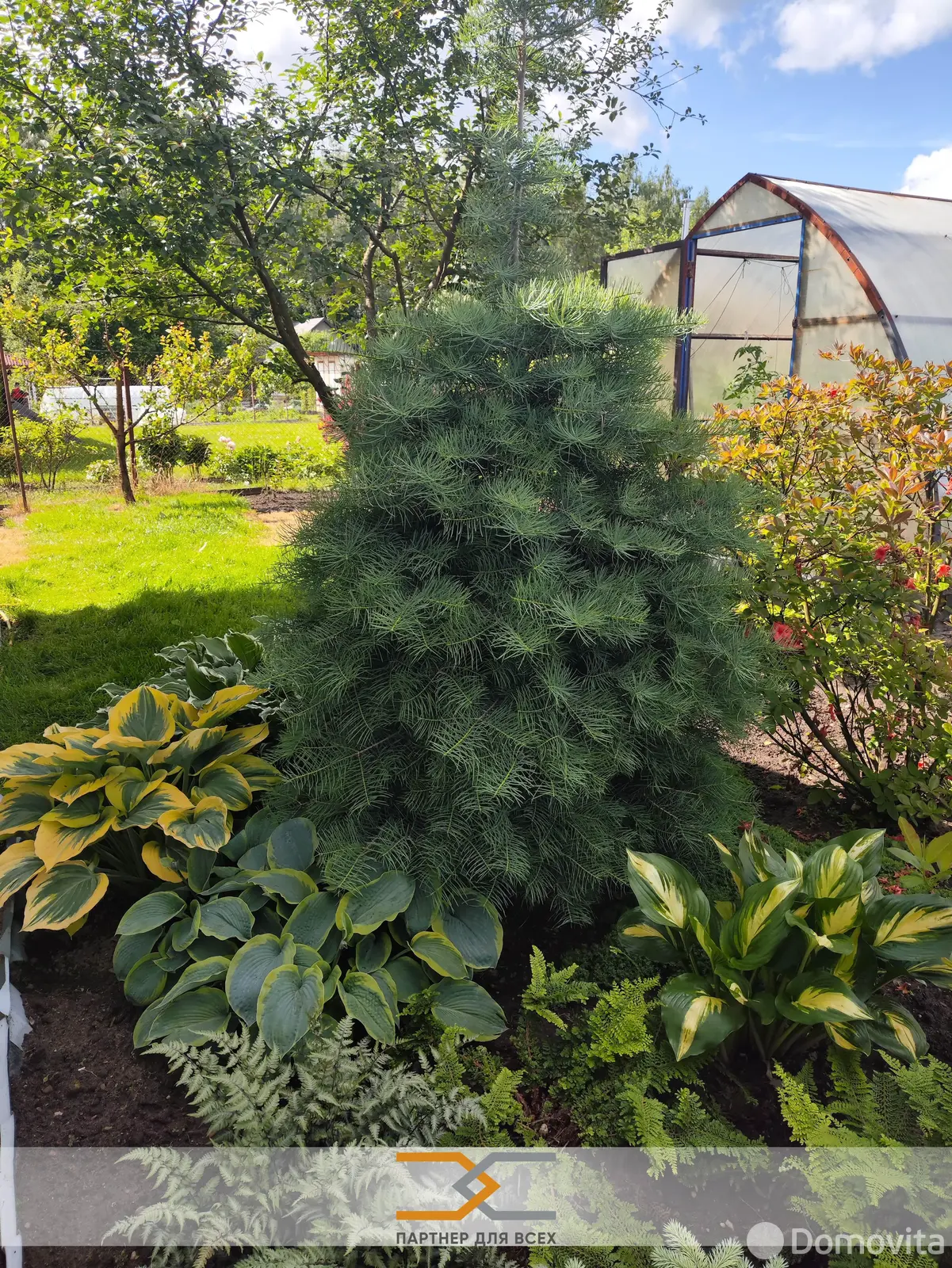 Продажа 1-этажной дачи в Аэрофлот Минская область, 53500USD, код 183340 - фото 25