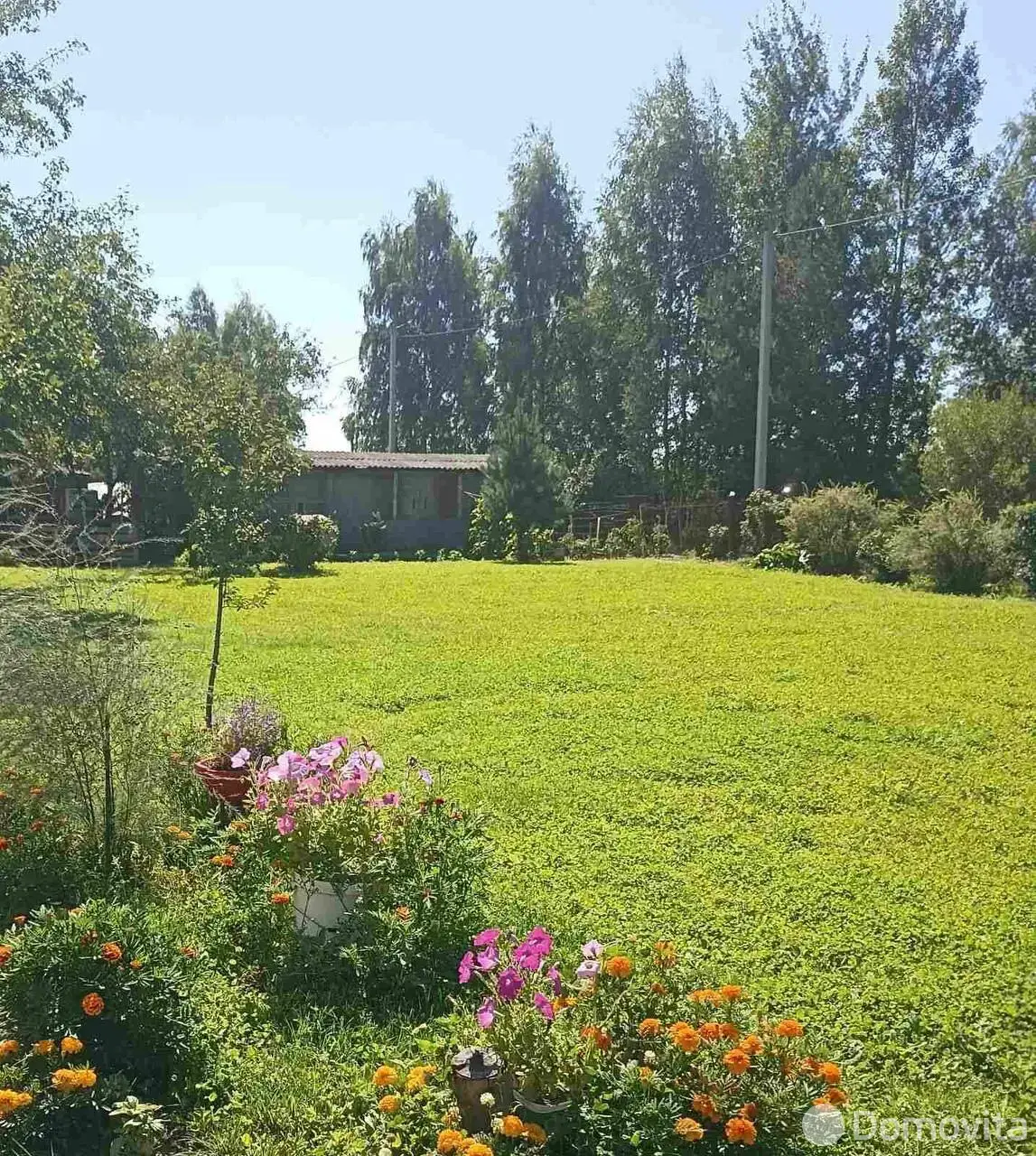 дача, Остров Дружный, , стоимость продажи 46 522 р.