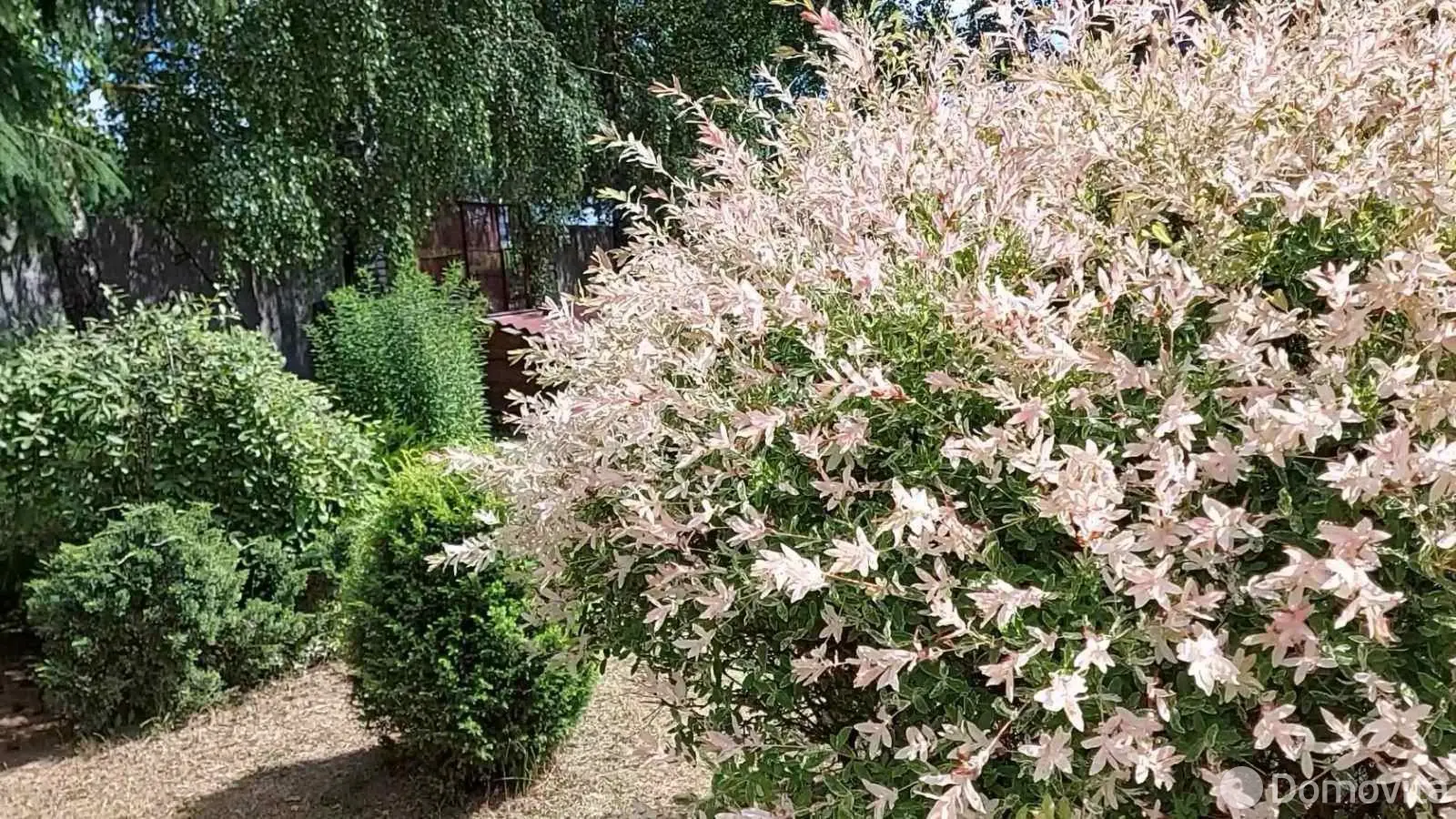 Купить складское помещение на пер. 2-й А. Невского, д. 1 в Лиде - фото 12