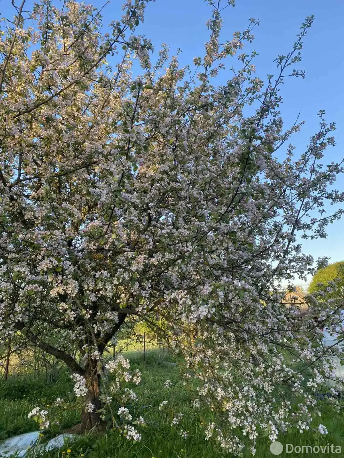 купить дом, Худовцы, ул. Магистральная