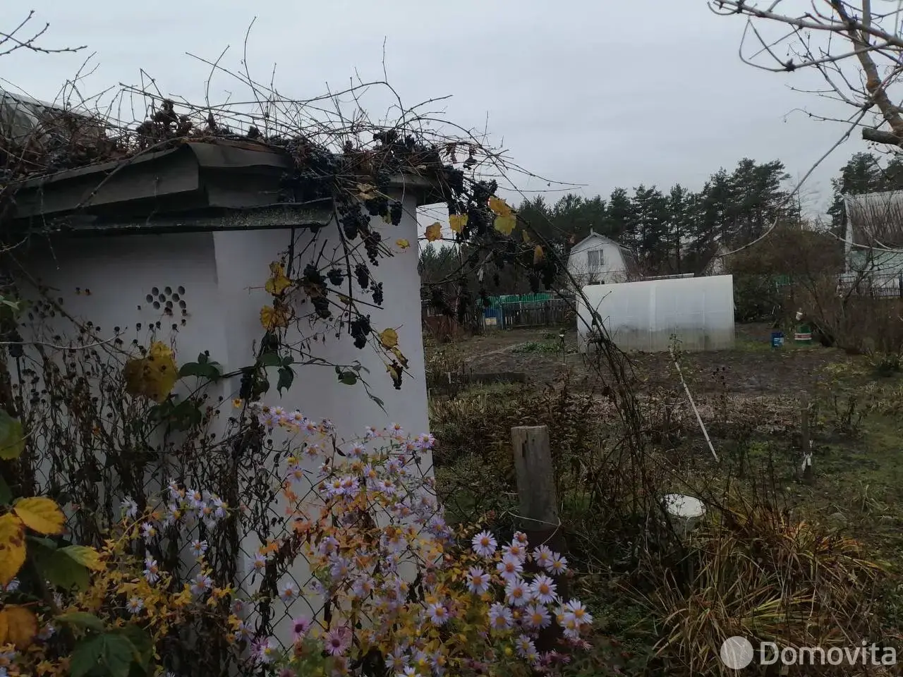 дача, Мозырь, б-р Юности, д. 109