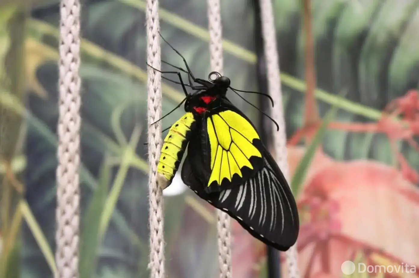 купить торговый объект, Минск, ул. Кирилла Туровского, д. 16