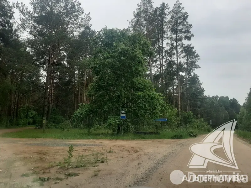 Стоимость продажи участка, Цветотрон, 