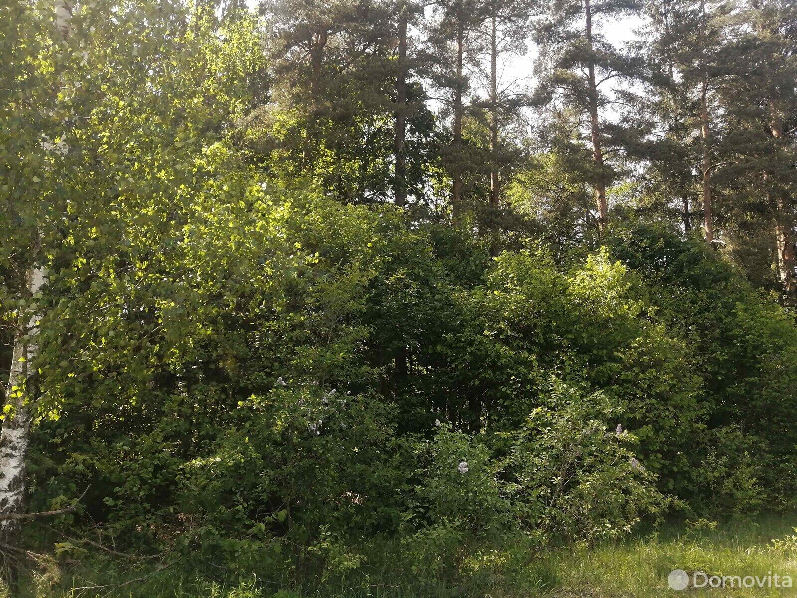Купить земельный участок, 10.04 соток, Подлесное, Минская область, 5200USD, код 565563 - фото 5