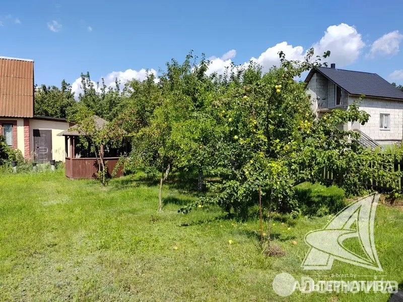 Продажа 1-этажной дачи в Ивушка-91 Брестская область, 29900USD, код 183592 - фото 17