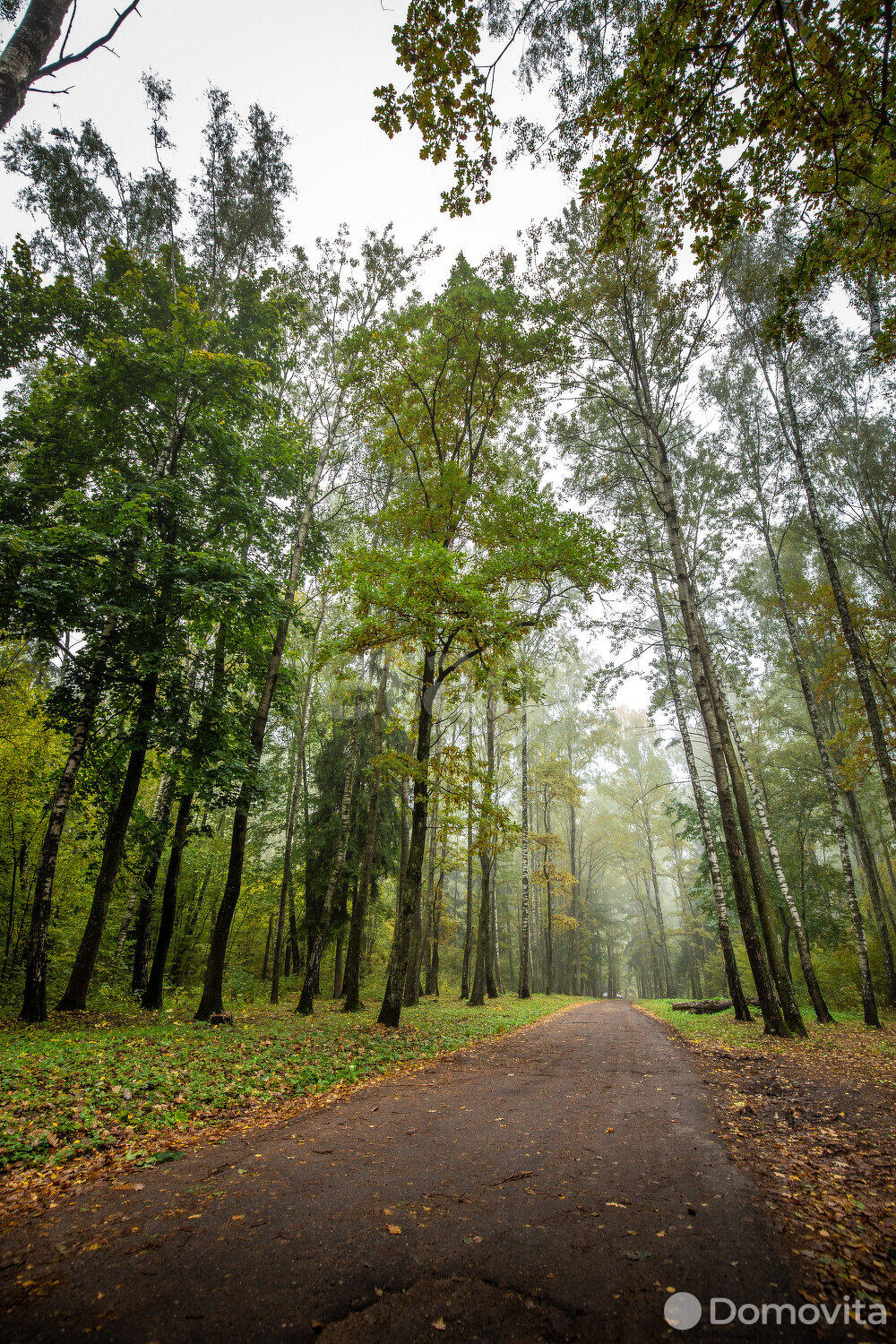 Купить помещение под сферу услуг в Волковичах, - фото 33