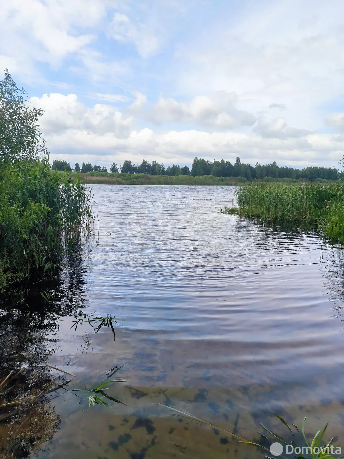 Купить 1-этажную дачу в Проект-2 Гомельская область, 9800USD, код 183198 - фото 12