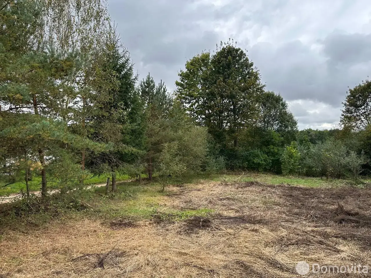 участок, Падеричи, 