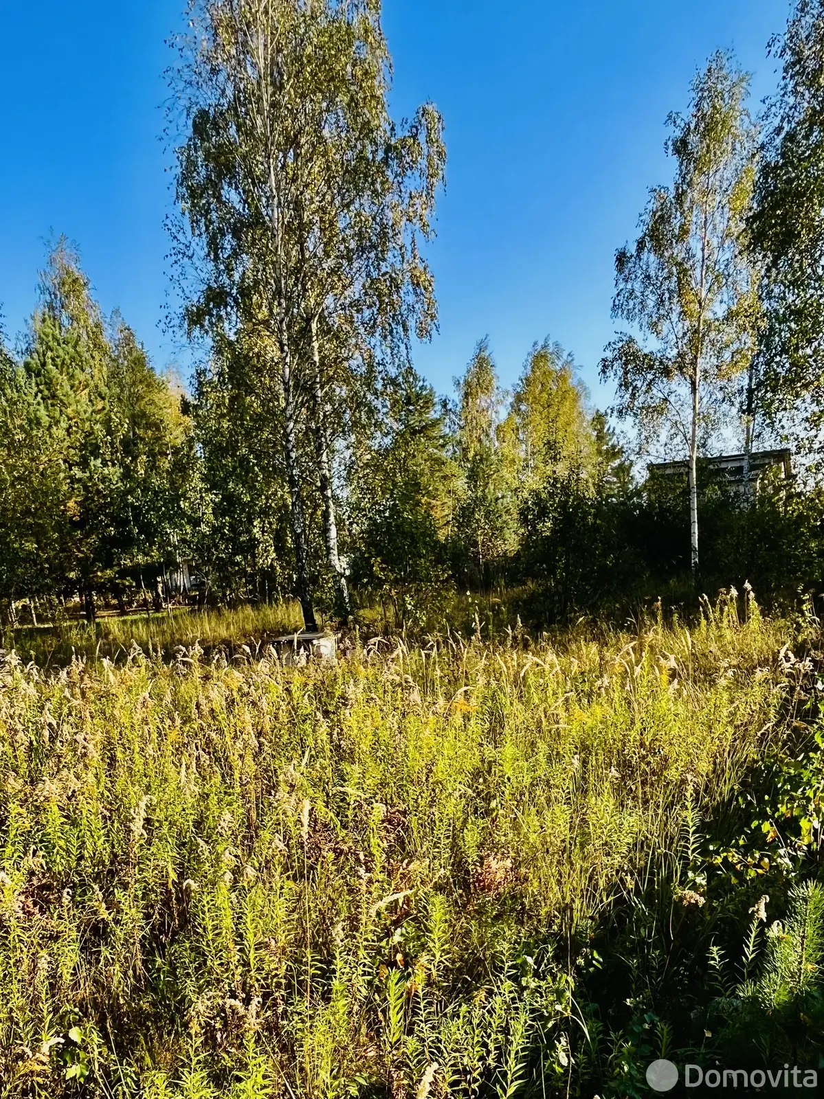 участок, Колодищи, ул. Рождественская 