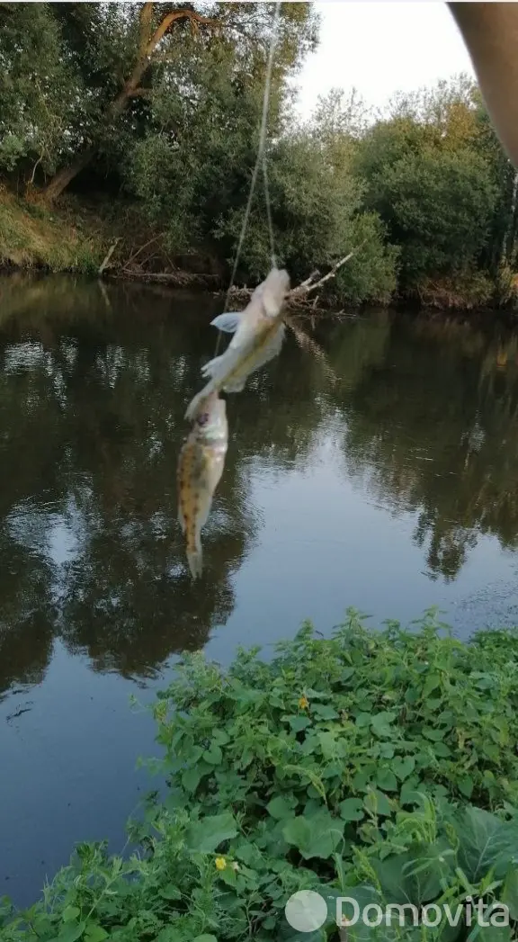 Купить 1-этажную дачу в Лешнице Минская область, 21000USD, код 182457 - фото 15