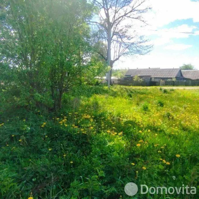 Купить 1-этажную дачу в Косках Минская область, 75000BYN, код 185757 - фото 3