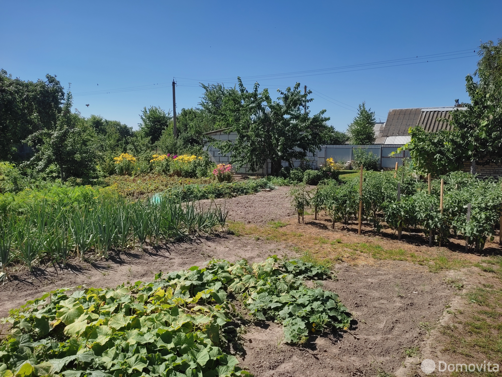 Купить 1-этажную дачу в Подгае Минская область, 9000USD, код 184121 - фото 20