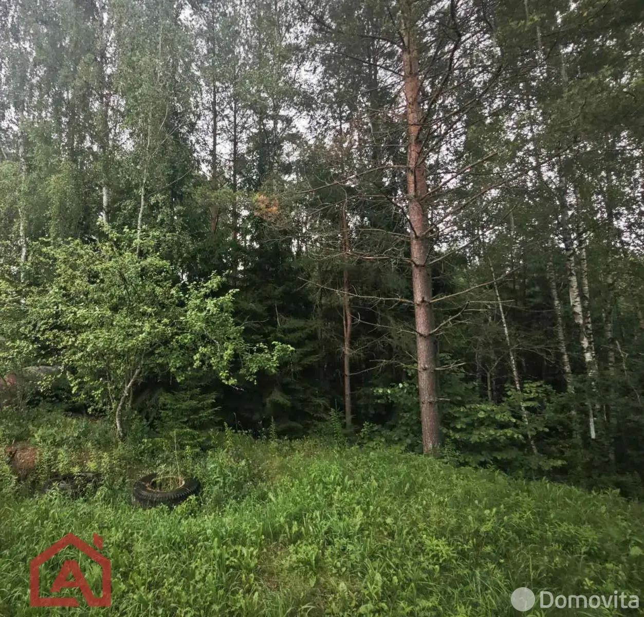 Стоимость продажи участка, Мончаки, ул. Лесная