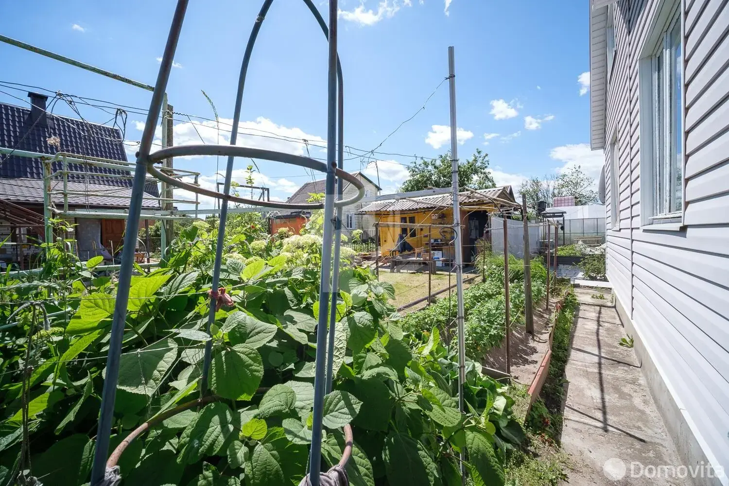 дача, Гигиенист, 