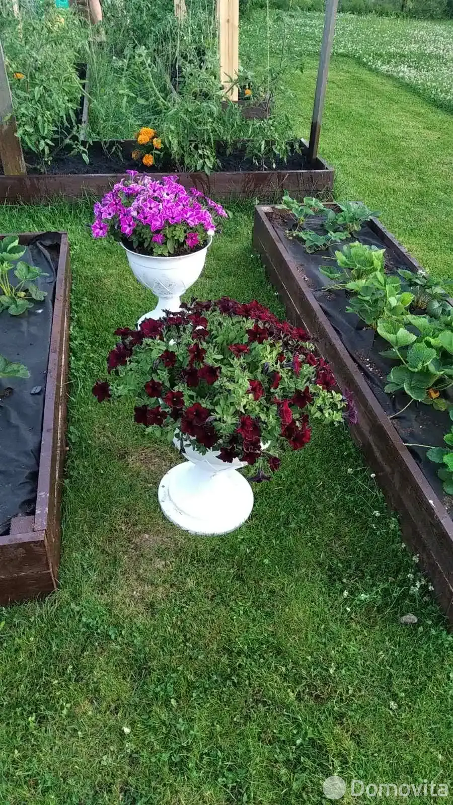 Купить 2-этажную дачу в Камвольщик Минская область, 31700USD, код 183357 - фото 24