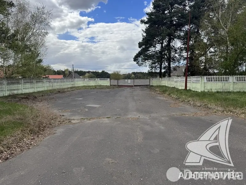 объект сферы услуг, Томашовка, 