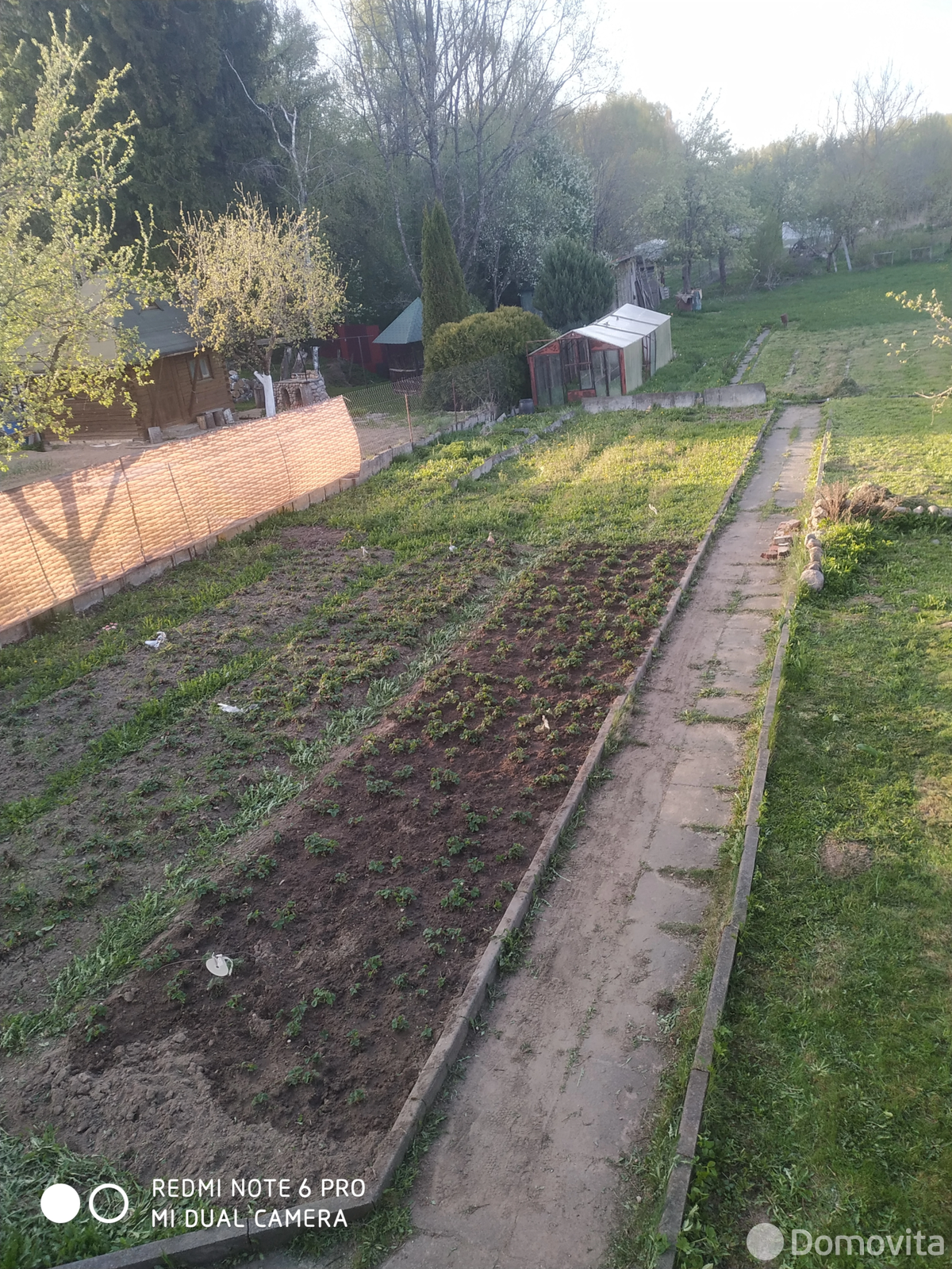 дача, Экономист-2,