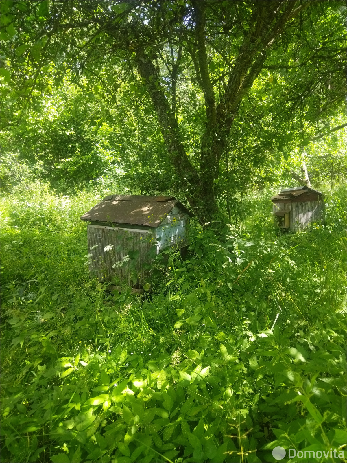 Цена продажи дома, Крестьянка, 