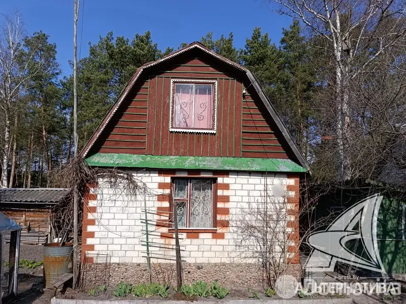 дача, Полянка-87, 