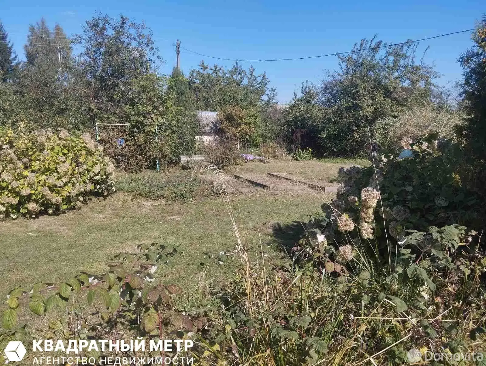 дача, Пралеска-плюс, 