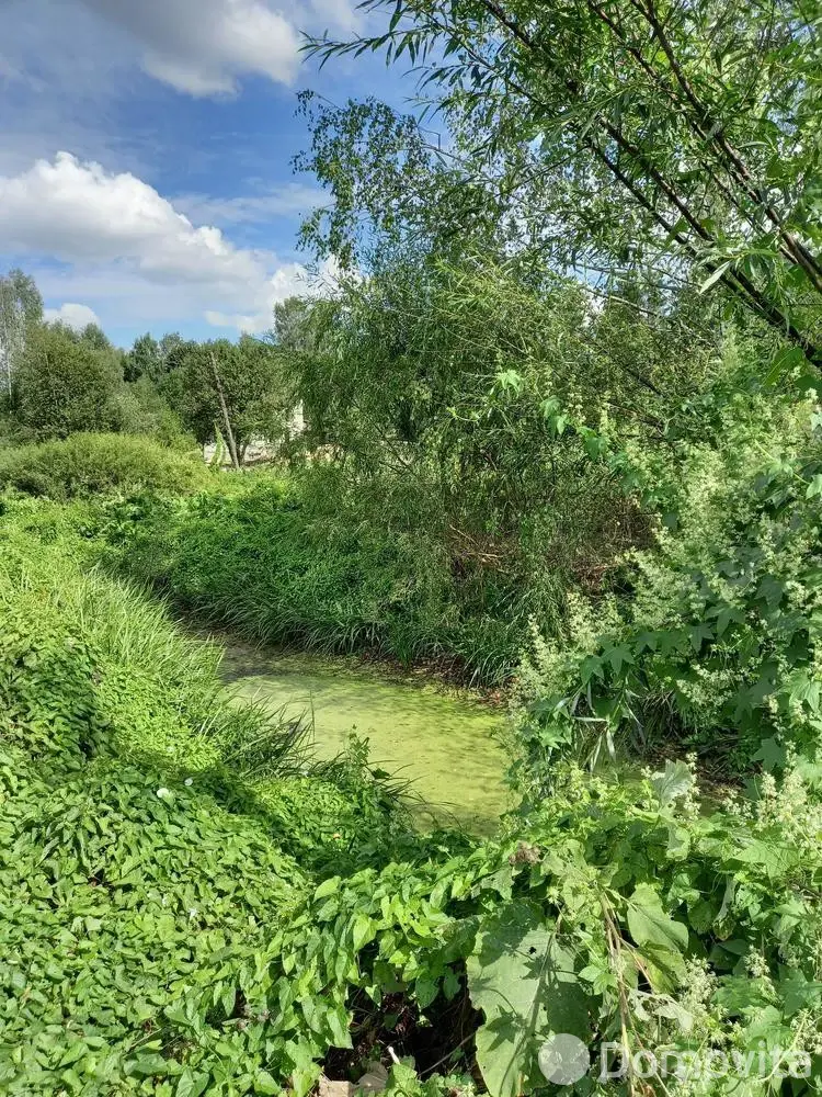 участок, Ольгово, ул. Центральная, д. 55 