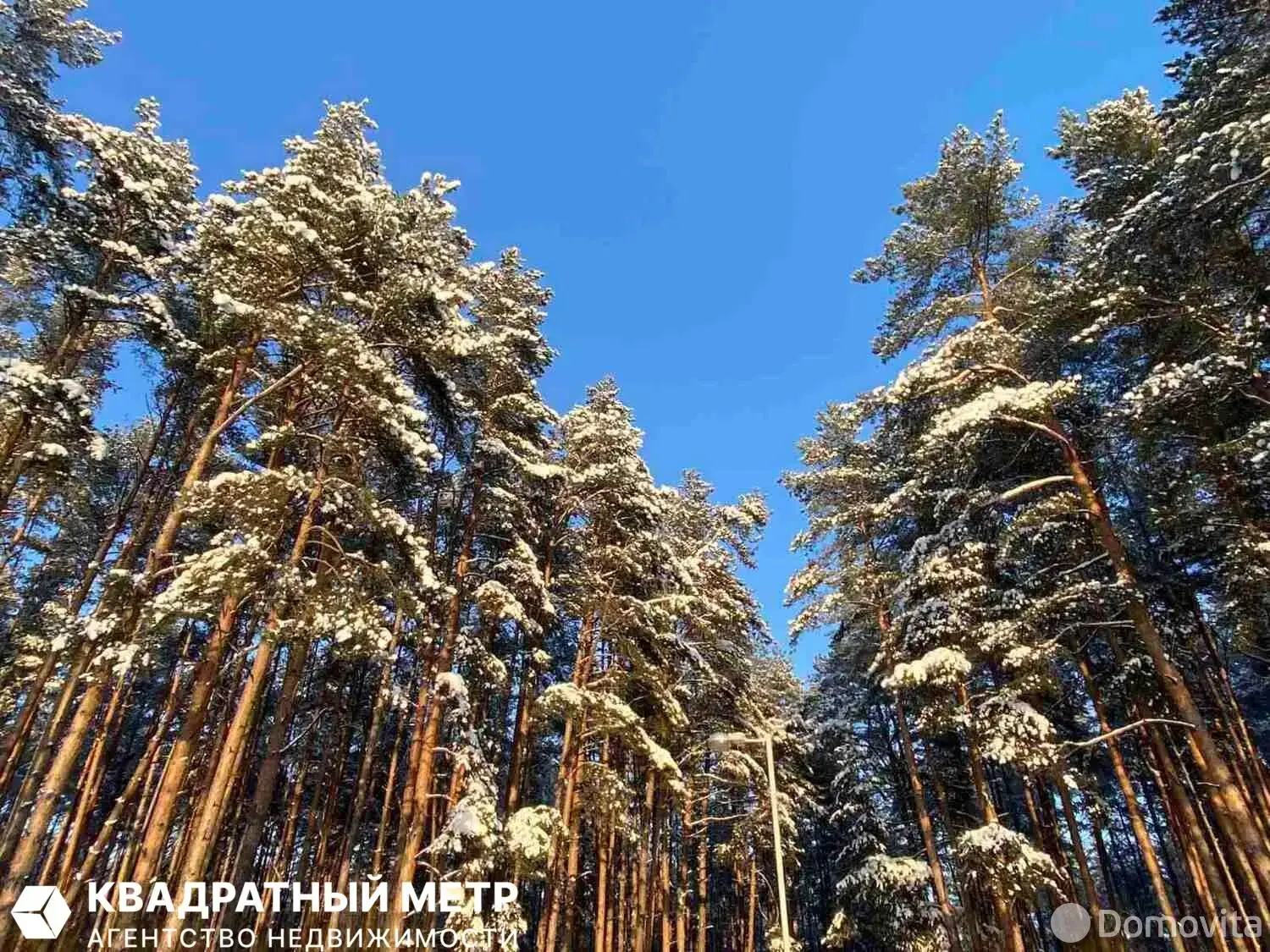 Продажа 1-этажной дачи в Энергостроитель-Подсады Минская область, 27550BYN, код 186283 - фото 24