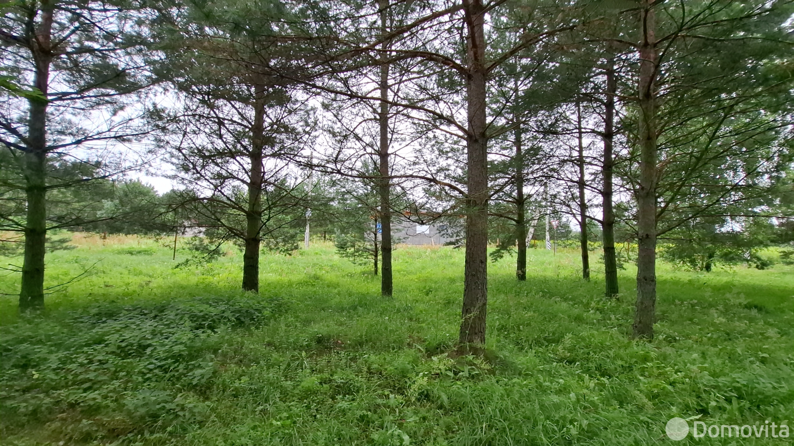 участок, Молоди, 