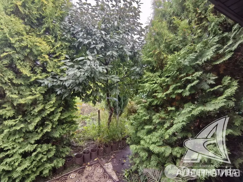 Продажа 1-этажной дачи в Керамик-1 Брестская область, 19000USD, код 184197 - фото 16