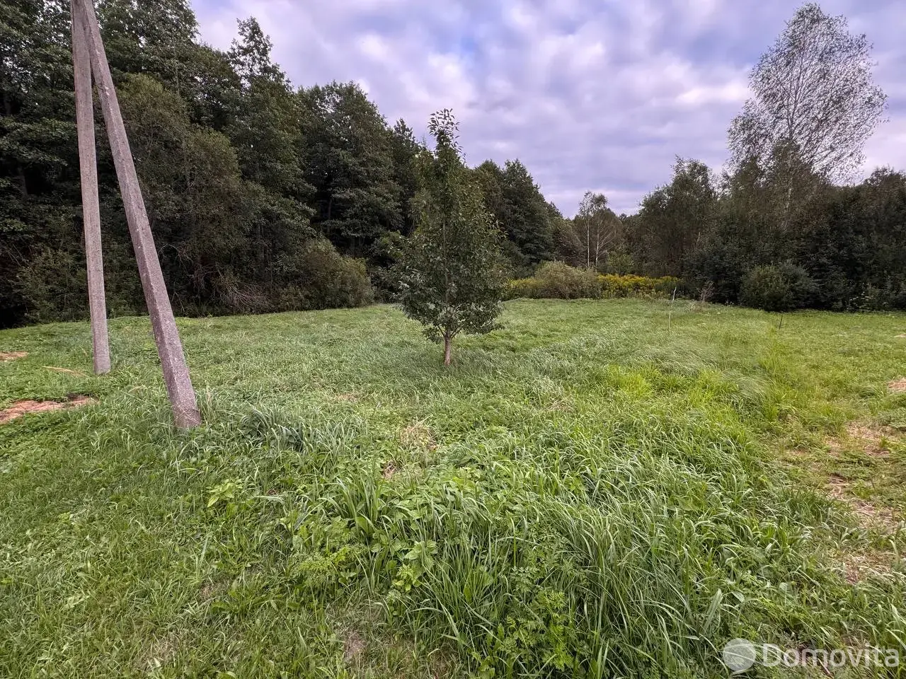 участок, Дружный ландыш, от собственника