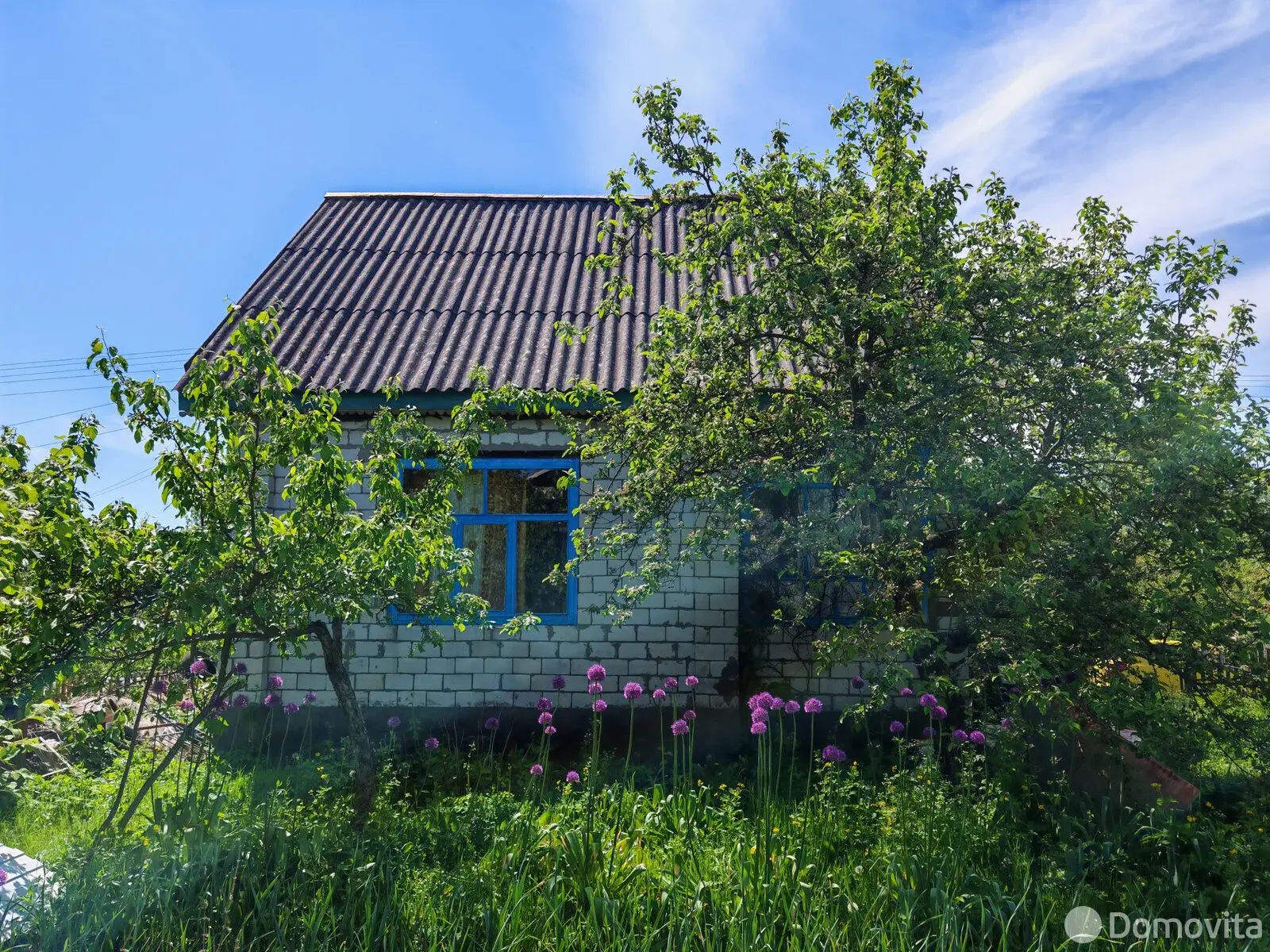 Купить 1-этажную дачу в Авиатор Гомельская область, 35000BYN, код 186111 - фото 6