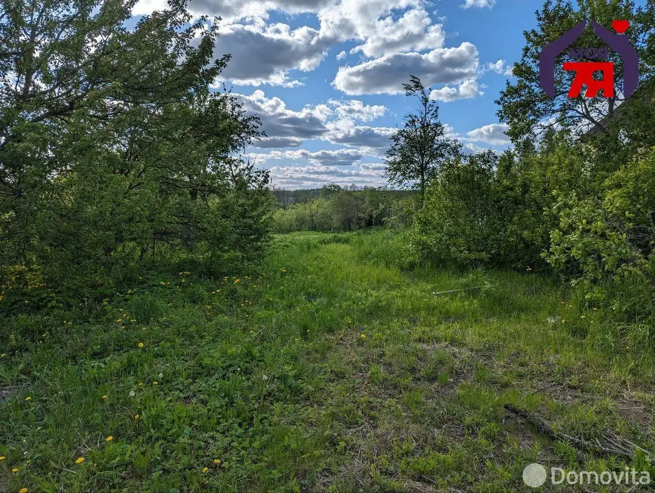 дом, Карпиловка, ул. Центральная, стоимость продажи 99 291 р.