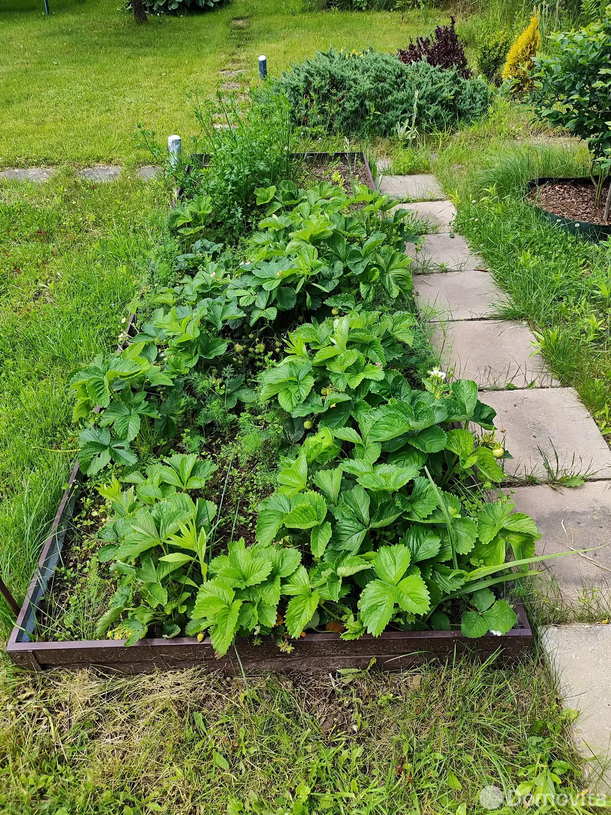 Продажа 2-этажной дачи в Волна-2001 Минская область, 37900USD, код 183275 - фото 22