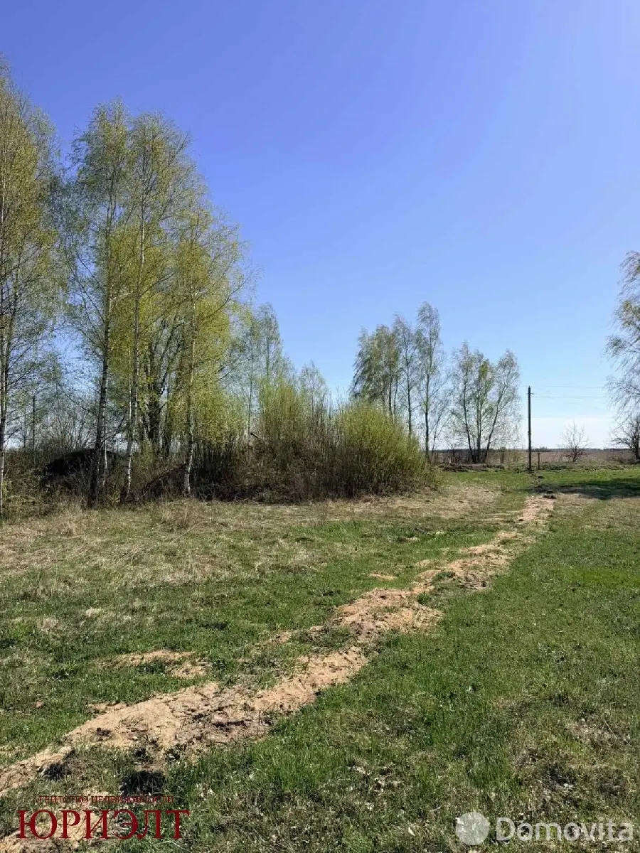 Купить земельный участок, 74.96 соток, Заполье, Гродненская область, 21000USD, код 571865 - фото 28