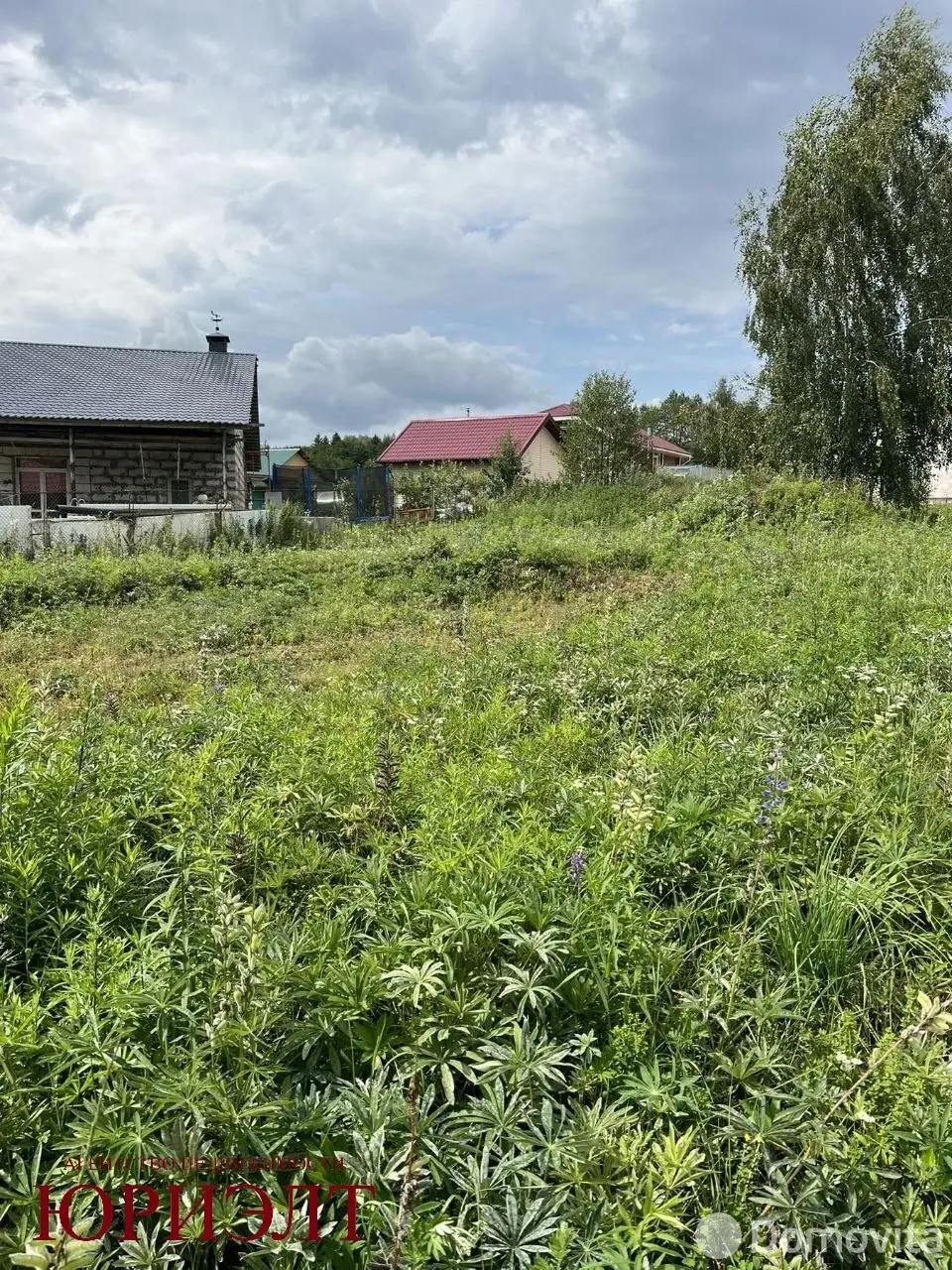 участок, Птичь-2, 