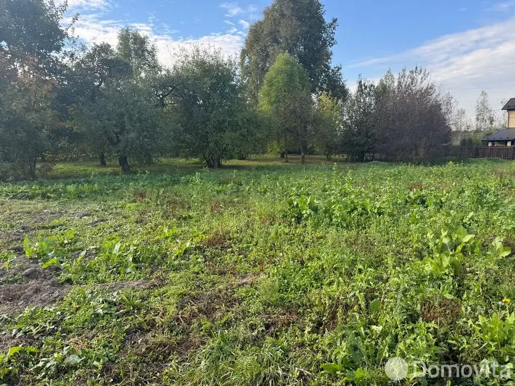 участок, Василевщина,