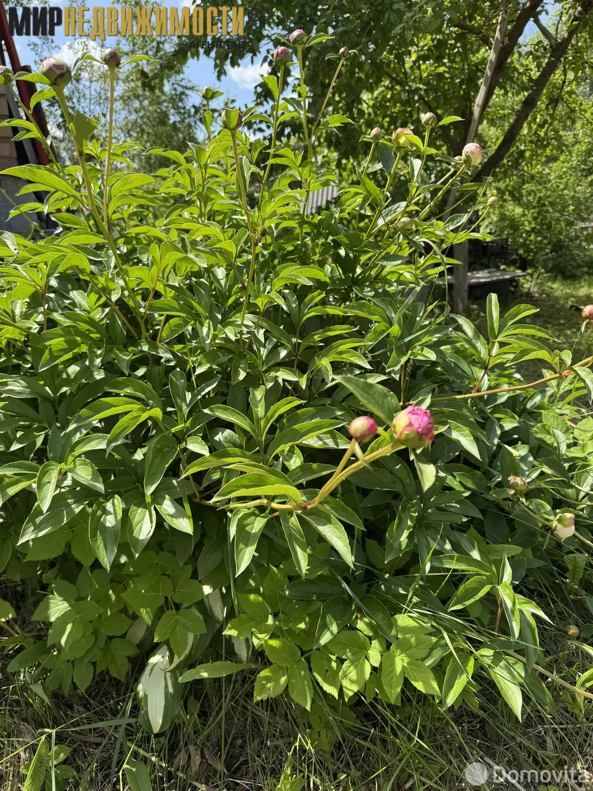 дача, Полет, 