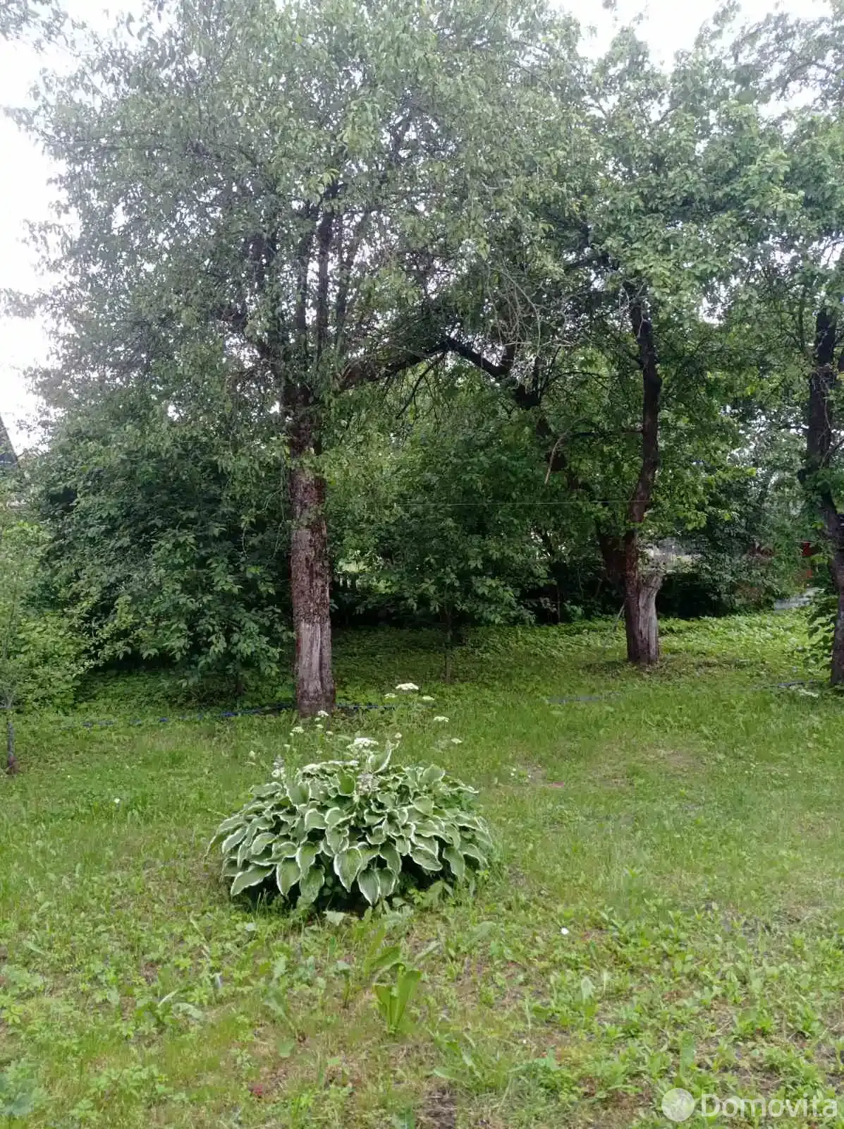 продажа дачи, Аэрофлот, 