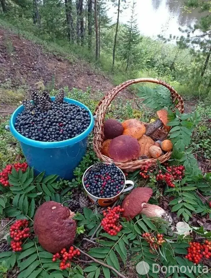 Купить земельный участок, 11.6 соток, Телепашня, Минская область, 34900USD, код 571597 - фото 12