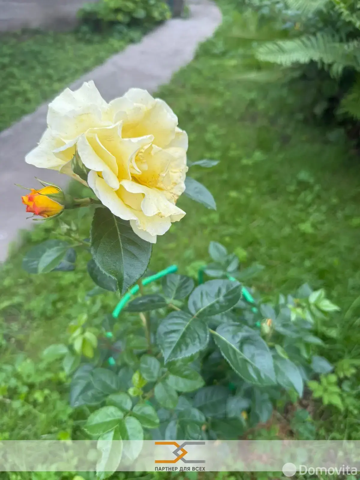 Купить 2-этажную дачу в Колосово Минская область, 25000USD, код 185157 - фото 19