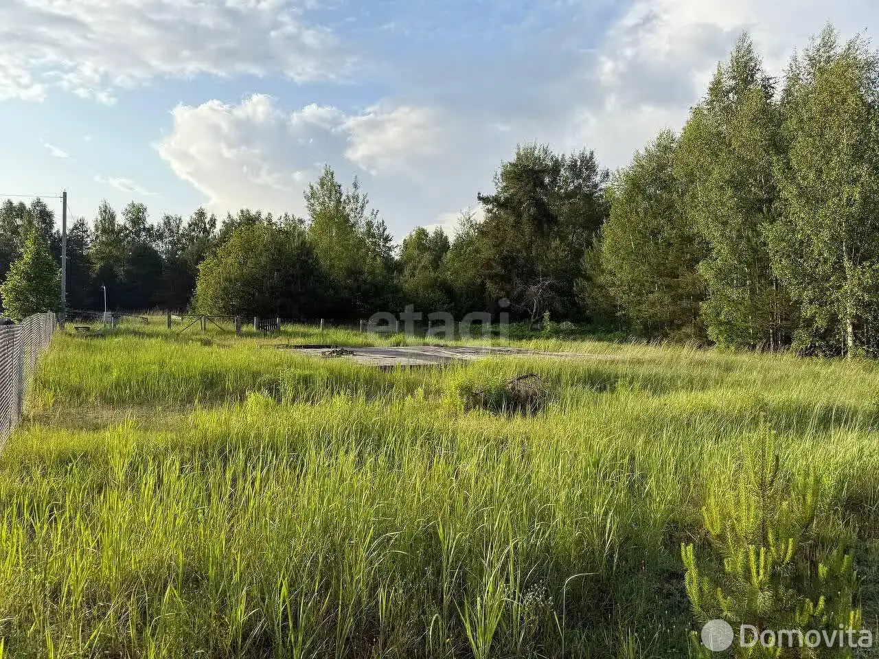 Купить земельный участок, 25 соток, Старый Пруд, Минская область, 18000USD, код 570904 - фото 12