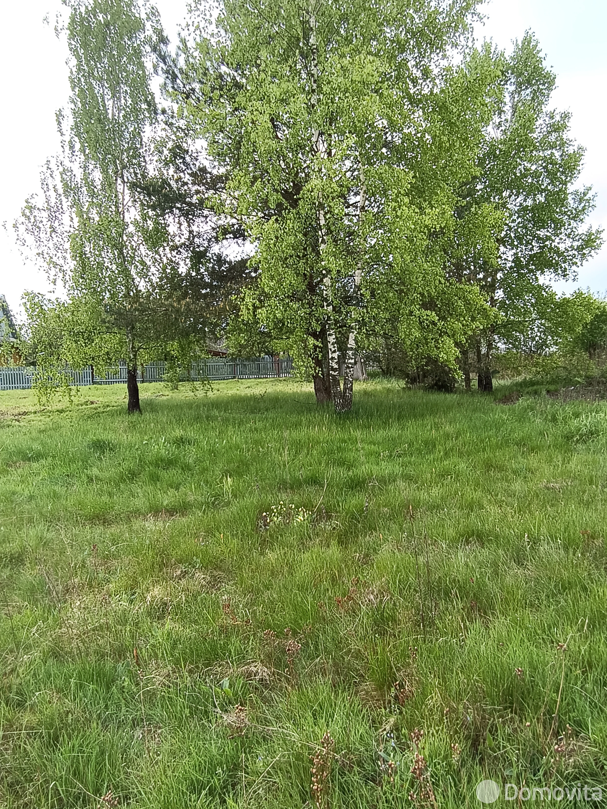 участок, Замостье, , стоимость продажи 20 335 р.